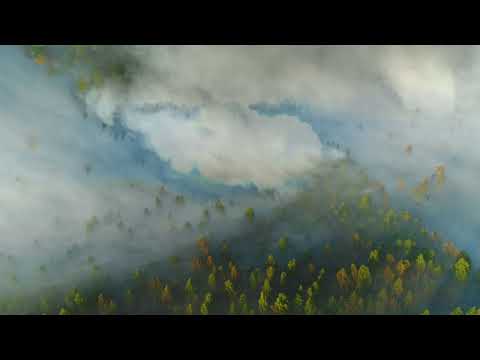 daniel dorobantu cerul de veghe