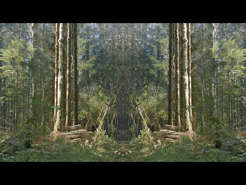 daniel dorobanțu & maria hojda Înflorirea de lumini