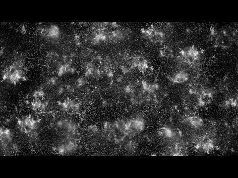 daniel dorobantu vesnicii