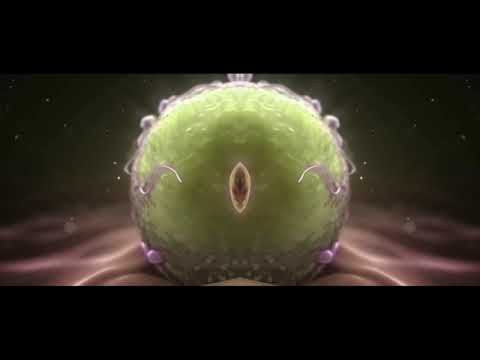 freejay metamorphosis