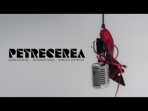 roxana mag petrecerea 🥂 the remix by sean norvis w. mircea Știopon