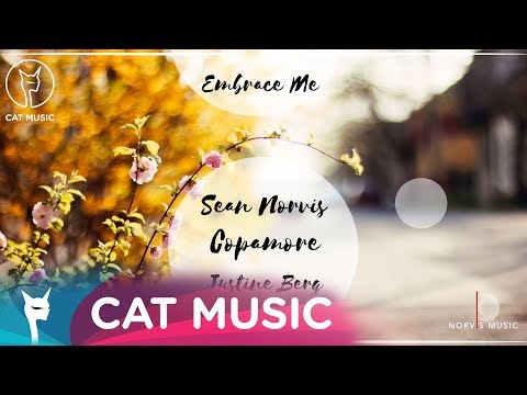 sean norvis feat. copamore & justine berg embrace me