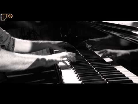 teo milea irreversible