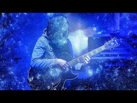 thy veils nest coir live